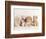 Wally-Rachael Hale-Framed Photographic Print