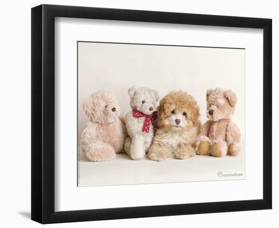 Wally-Rachael Hale-Framed Photographic Print