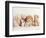 Wally-Rachael Hale-Framed Photographic Print