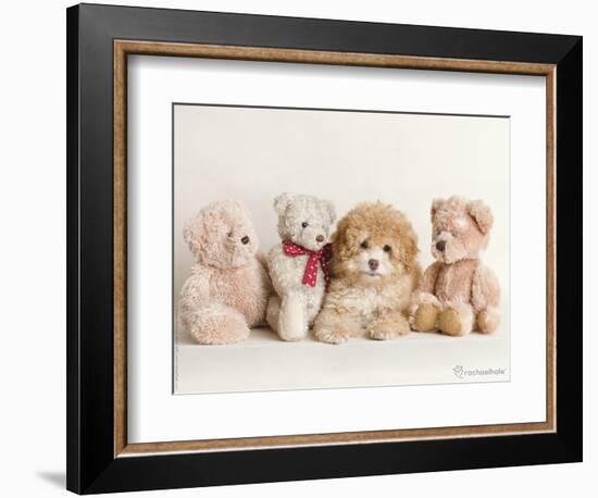 Wally-Rachael Hale-Framed Photographic Print