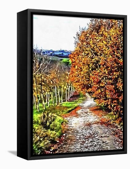 Walnut Avenue In Autumn Umbria-Dorothy Berry-Lound-Framed Premier Image Canvas