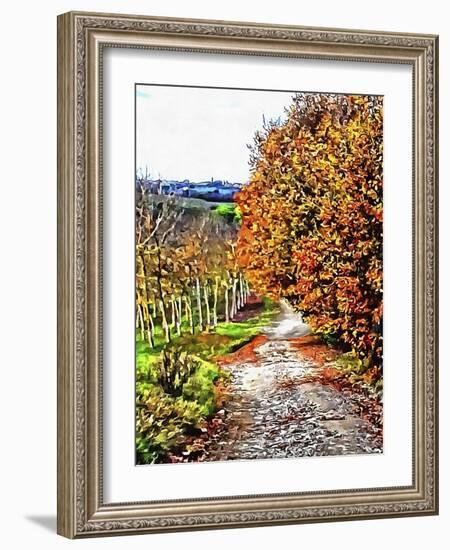 Walnut Avenue In Autumn Umbria-Dorothy Berry-Lound-Framed Giclee Print