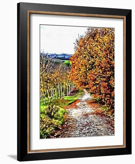 Walnut Avenue In Autumn Umbria-Dorothy Berry-Lound-Framed Giclee Print