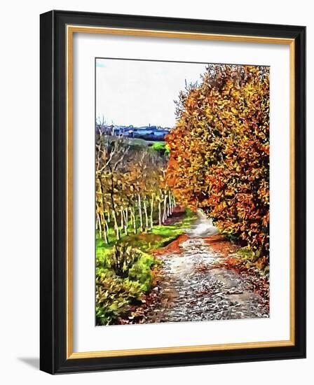 Walnut Avenue In Autumn Umbria-Dorothy Berry-Lound-Framed Giclee Print