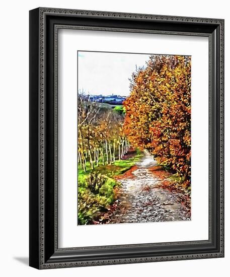 Walnut Avenue In Autumn Umbria-Dorothy Berry-Lound-Framed Giclee Print