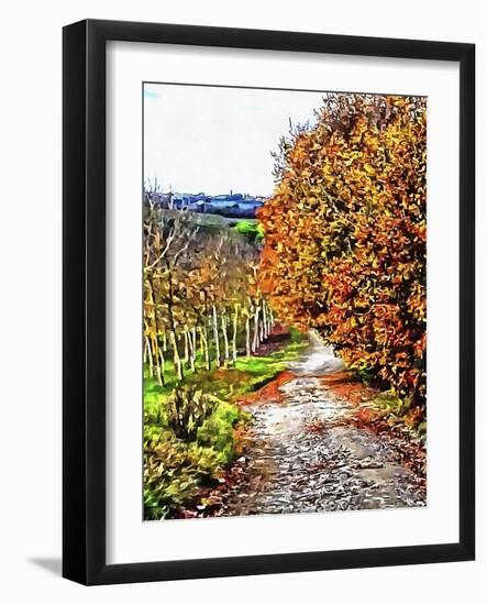 Walnut Avenue In Autumn Umbria-Dorothy Berry-Lound-Framed Giclee Print