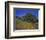 Walnut Creek, Mt. Diablo State Park, California-Inger Hogstrom-Framed Photographic Print