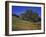 Walnut Creek, Mt. Diablo State Park, California-Inger Hogstrom-Framed Photographic Print