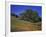 Walnut Creek, Mt. Diablo State Park, California-Inger Hogstrom-Framed Photographic Print