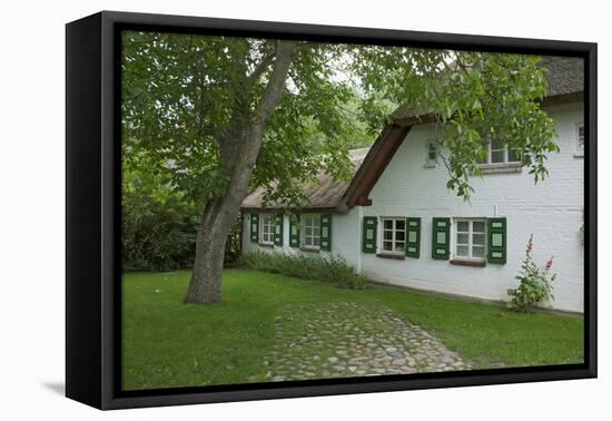 Walnut Tree in the Garden of an Old Thatched House-Uwe Steffens-Framed Premier Image Canvas
