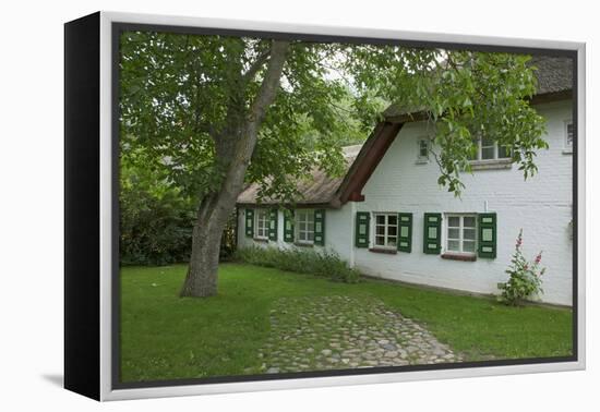 Walnut Tree in the Garden of an Old Thatched House-Uwe Steffens-Framed Premier Image Canvas