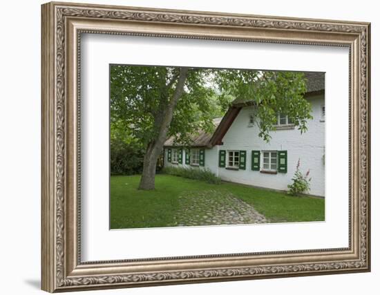 Walnut Tree in the Garden of an Old Thatched House-Uwe Steffens-Framed Photographic Print
