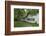 Walnut Tree in the Garden of an Old Thatched House-Uwe Steffens-Framed Photographic Print