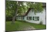 Walnut Tree in the Garden of an Old Thatched House-Uwe Steffens-Mounted Photographic Print