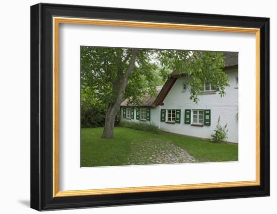 Walnut Tree in the Garden of an Old Thatched House-Uwe Steffens-Framed Photographic Print