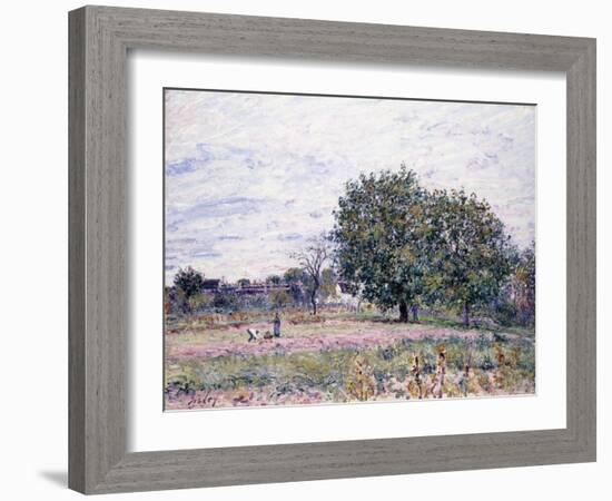 Walnut Trees, Effect of the Setting Sun - First Day of October, 1882-Alfred Sisley-Framed Giclee Print