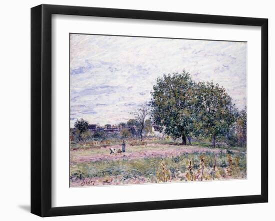 Walnut Trees, Effect of the Setting Sun - First Day of October, 1882-Alfred Sisley-Framed Giclee Print