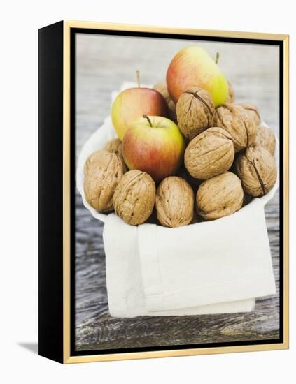 Walnuts and Apples on Cloth in White Bowl-null-Framed Premier Image Canvas