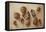 Walnuts and Hazelnuts, 2014-Cristiana Angelini-Framed Premier Image Canvas