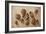 Walnuts and Hazelnuts, 2014-Cristiana Angelini-Framed Premium Giclee Print