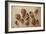 Walnuts and Hazelnuts, 2014-Cristiana Angelini-Framed Premium Giclee Print