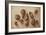 Walnuts and Hazelnuts, 2014-Cristiana Angelini-Framed Giclee Print