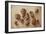 Walnuts and Hazelnuts, 2014-Cristiana Angelini-Framed Giclee Print