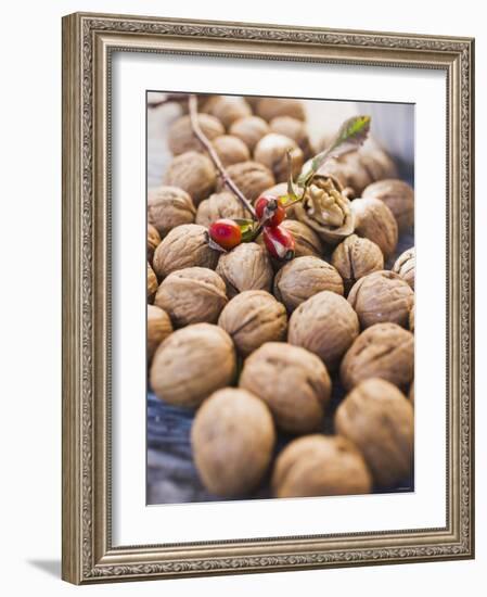 Walnuts and Rose Hips-null-Framed Photographic Print