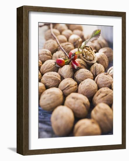 Walnuts and Rose Hips-null-Framed Photographic Print