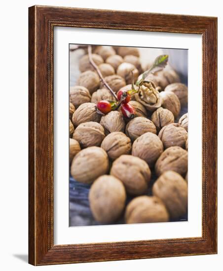 Walnuts and Rose Hips-null-Framed Photographic Print