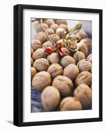 Walnuts and Rose Hips-null-Framed Photographic Print