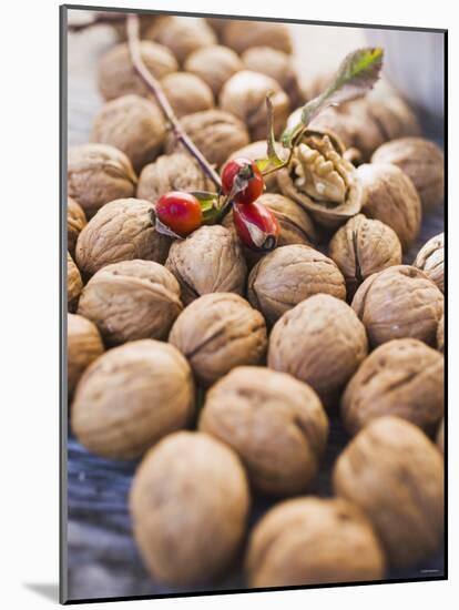 Walnuts and Rose Hips-null-Mounted Photographic Print