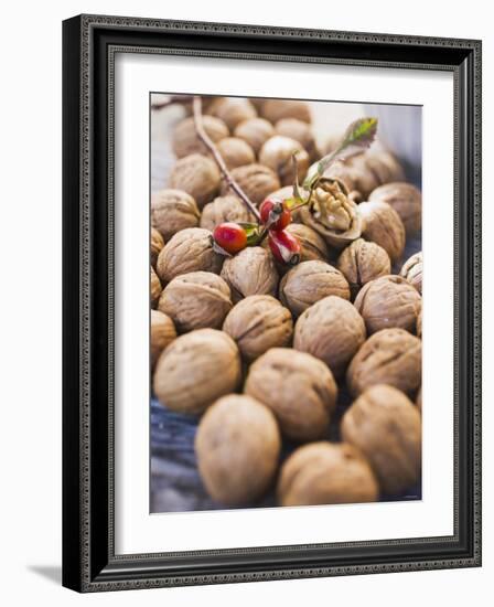 Walnuts and Rose Hips-null-Framed Photographic Print