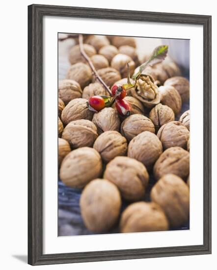 Walnuts and Rose Hips-null-Framed Photographic Print