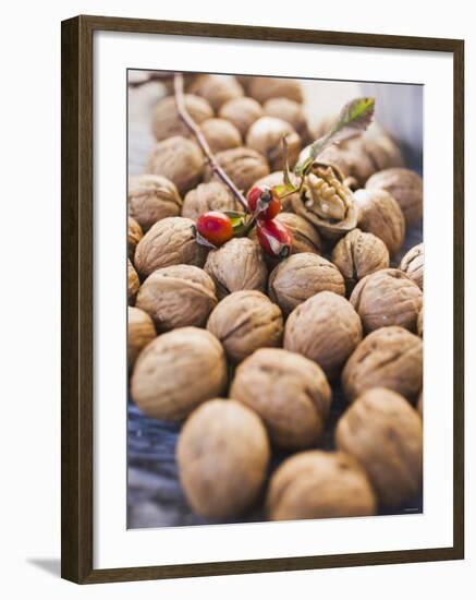 Walnuts and Rose Hips-null-Framed Photographic Print