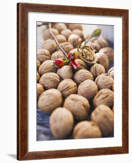 Walnuts and Rose Hips-null-Framed Photographic Print