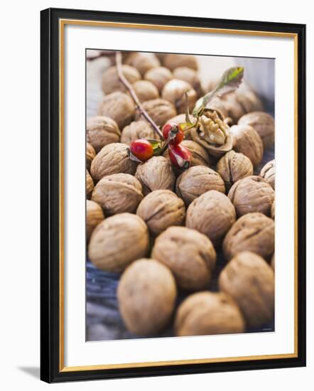 Walnuts and Rose Hips-null-Framed Photographic Print