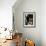 Walnuts, Hazelnuts and Bottle of Madeira-Henrik Freek-Framed Photographic Print displayed on a wall