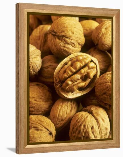 Walnuts-Vladimir Shulevsky-Framed Premier Image Canvas