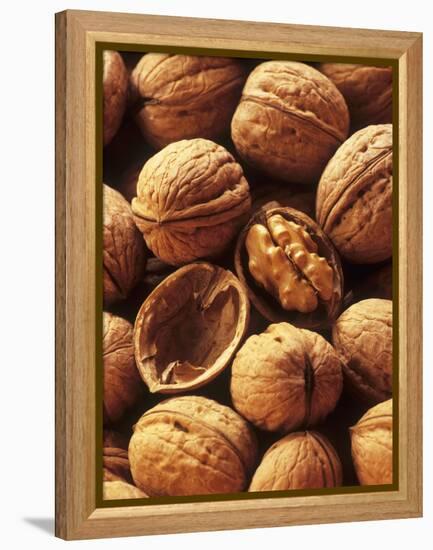 Walnuts-Vladimir Shulevsky-Framed Premier Image Canvas