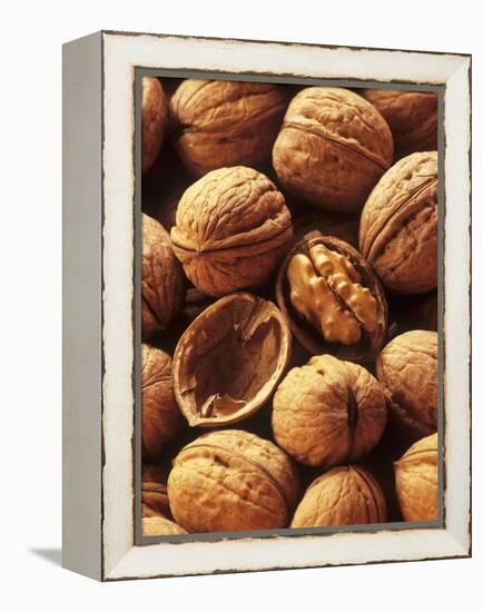 Walnuts-Vladimir Shulevsky-Framed Premier Image Canvas