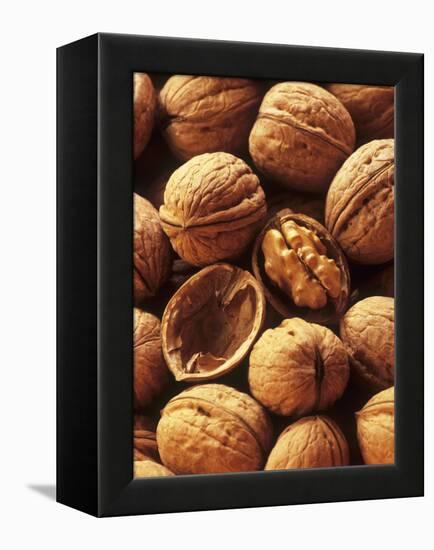 Walnuts-Vladimir Shulevsky-Framed Premier Image Canvas