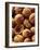 Walnuts-Vladimir Shulevsky-Framed Photographic Print