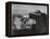 Walpi Arizona 1941. 1941-Ansel Adams-Framed Stretched Canvas