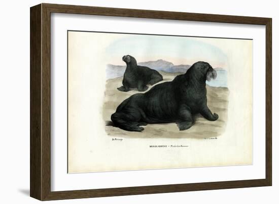 Walrus, 1863-79-Raimundo Petraroja-Framed Giclee Print