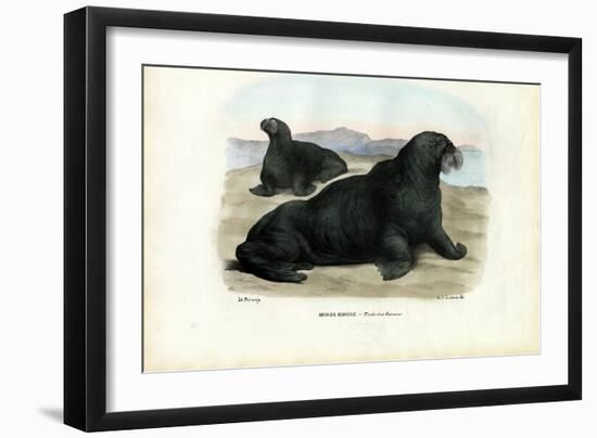 Walrus, 1863-79-Raimundo Petraroja-Framed Giclee Print