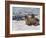 Walrus 1909-Cuthbert Swan-Framed Art Print