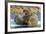 Walrus and Calf in Hudson Bay, Nunavut, Canada-Paul Souders-Framed Photographic Print