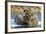 Walrus and Calf in Hudson Bay, Nunavut, Canada-Paul Souders-Framed Photographic Print