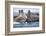 Walrus Herd, Hudson Bay, Nunavut, Canada-Paul Souders-Framed Photographic Print